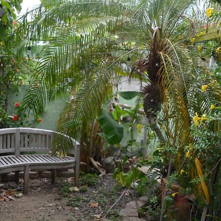Palmetto Guesthouse Isla Culebra Dış mekan fotoğraf