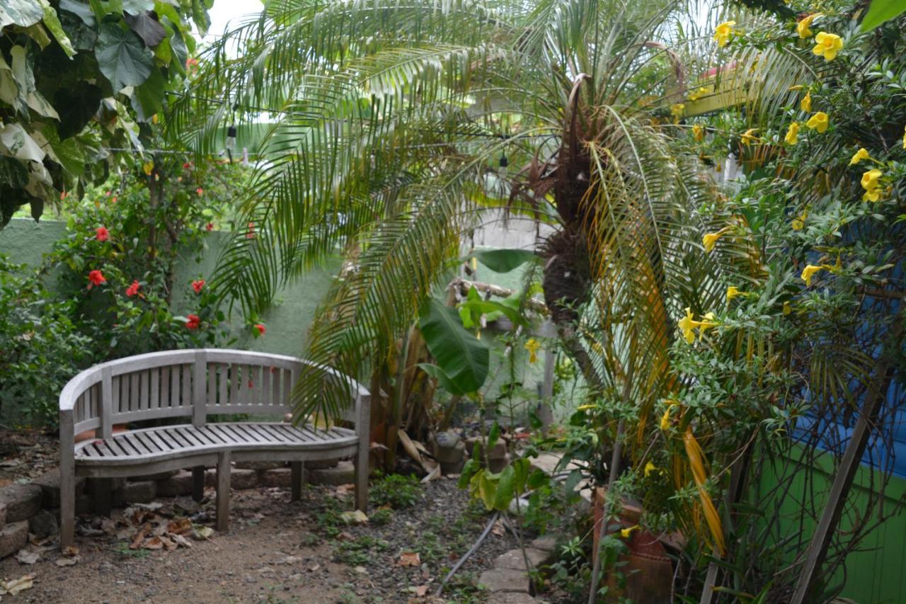 Palmetto Guesthouse Isla Culebra Dış mekan fotoğraf