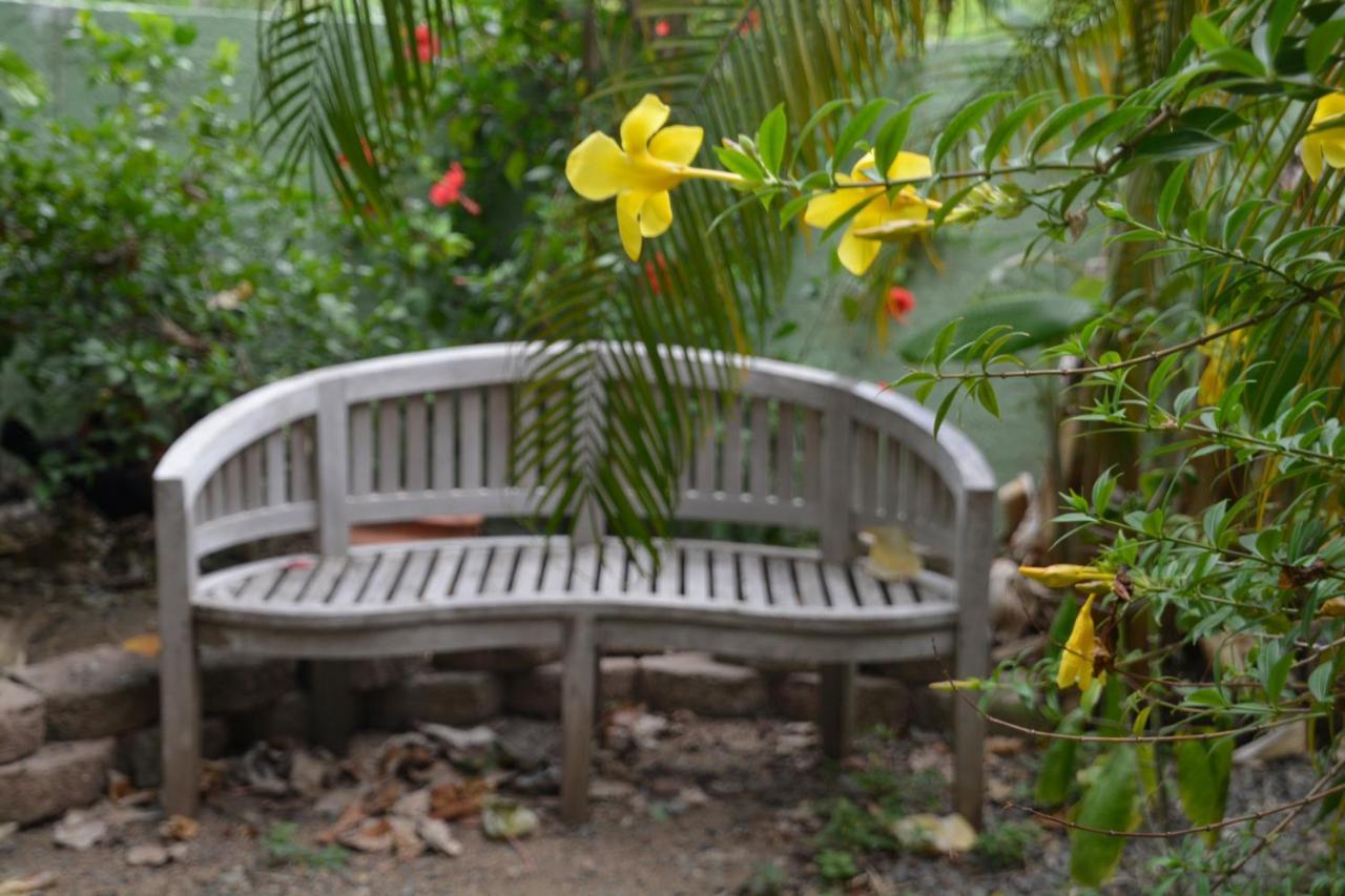 Palmetto Guesthouse Isla Culebra Dış mekan fotoğraf